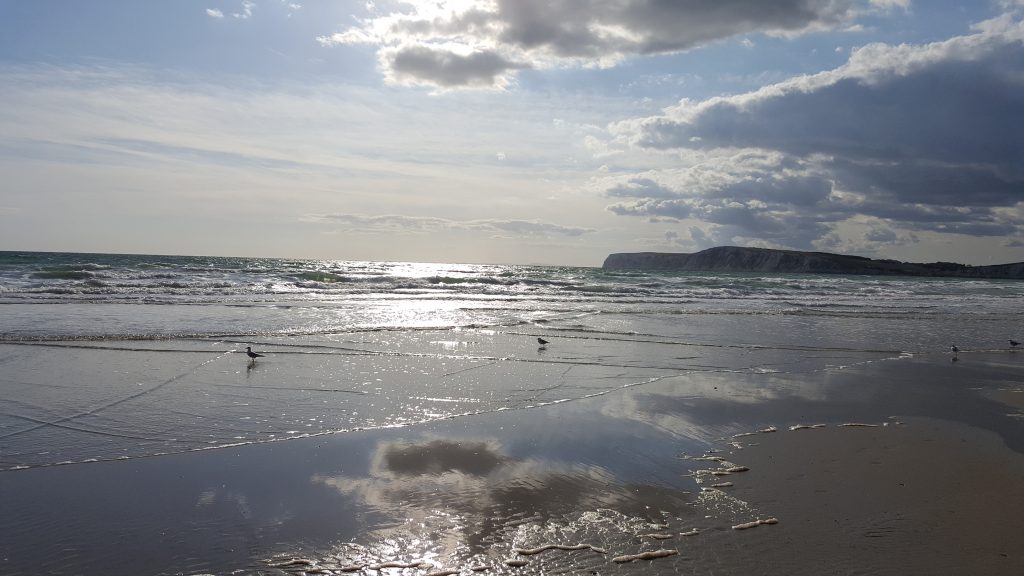 Seagulls enjoying Compton Beach at Low Tide