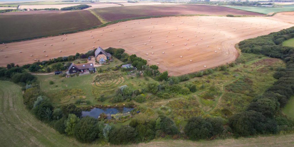 Harvest time in Atherfield