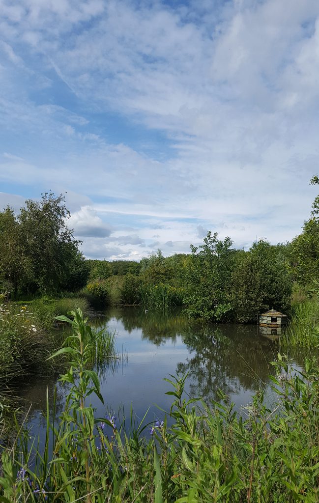 The Lake at The Little Barn in the Summer