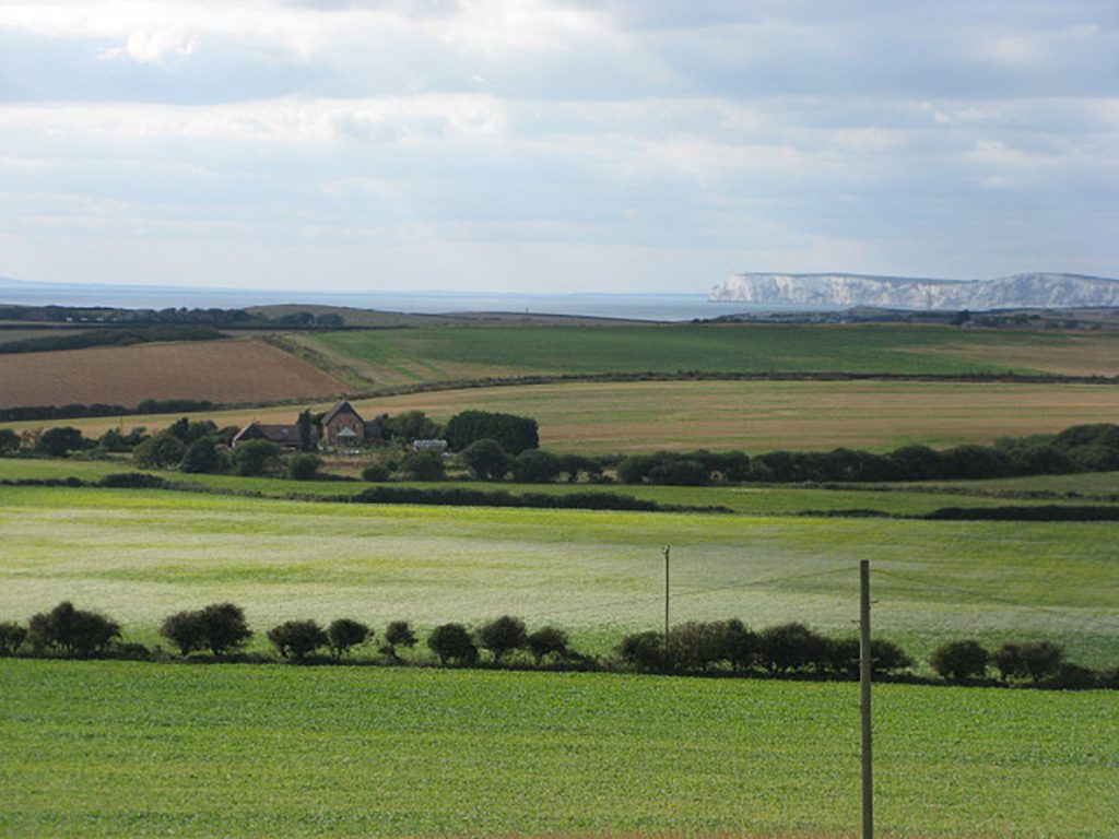 Looking West towards the White Cliffs behind The Little Barn