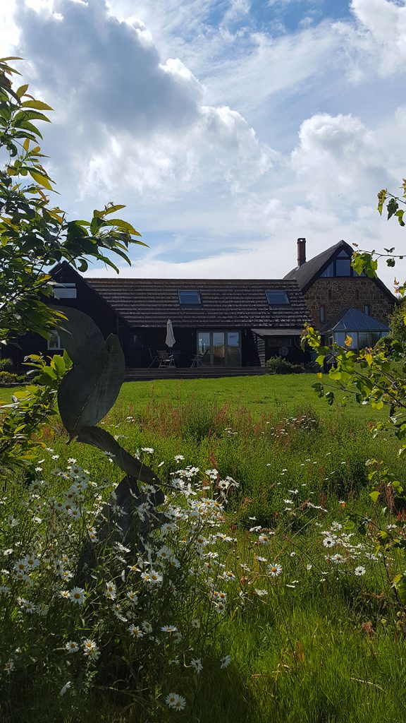 Summer Meadow at The Little Barn