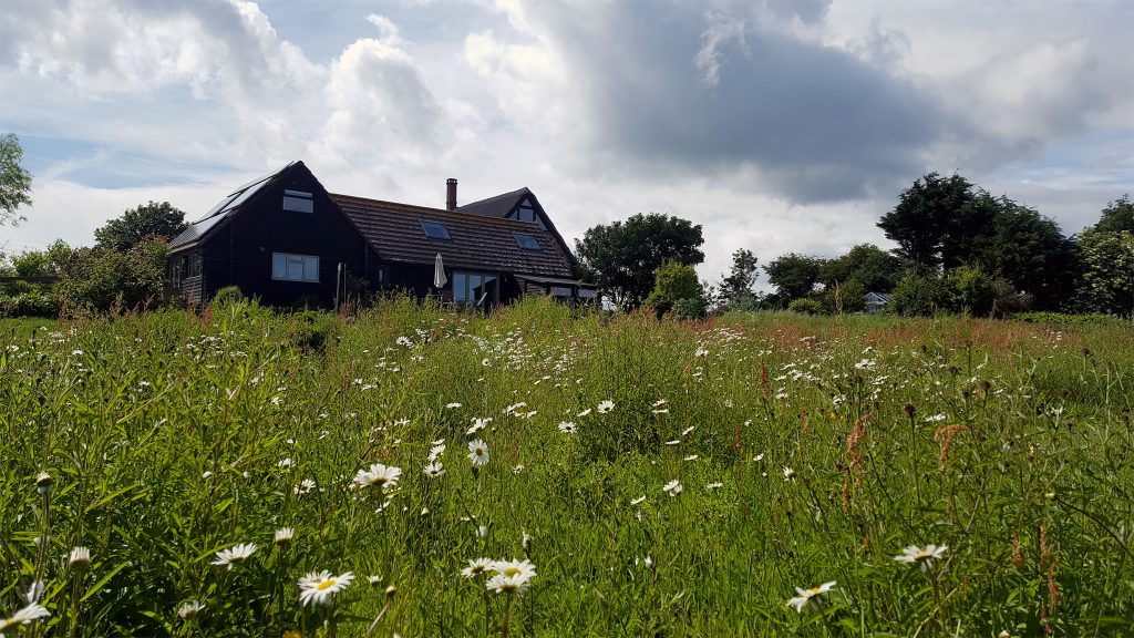 Summer at The Little Barn, Isle of Wight